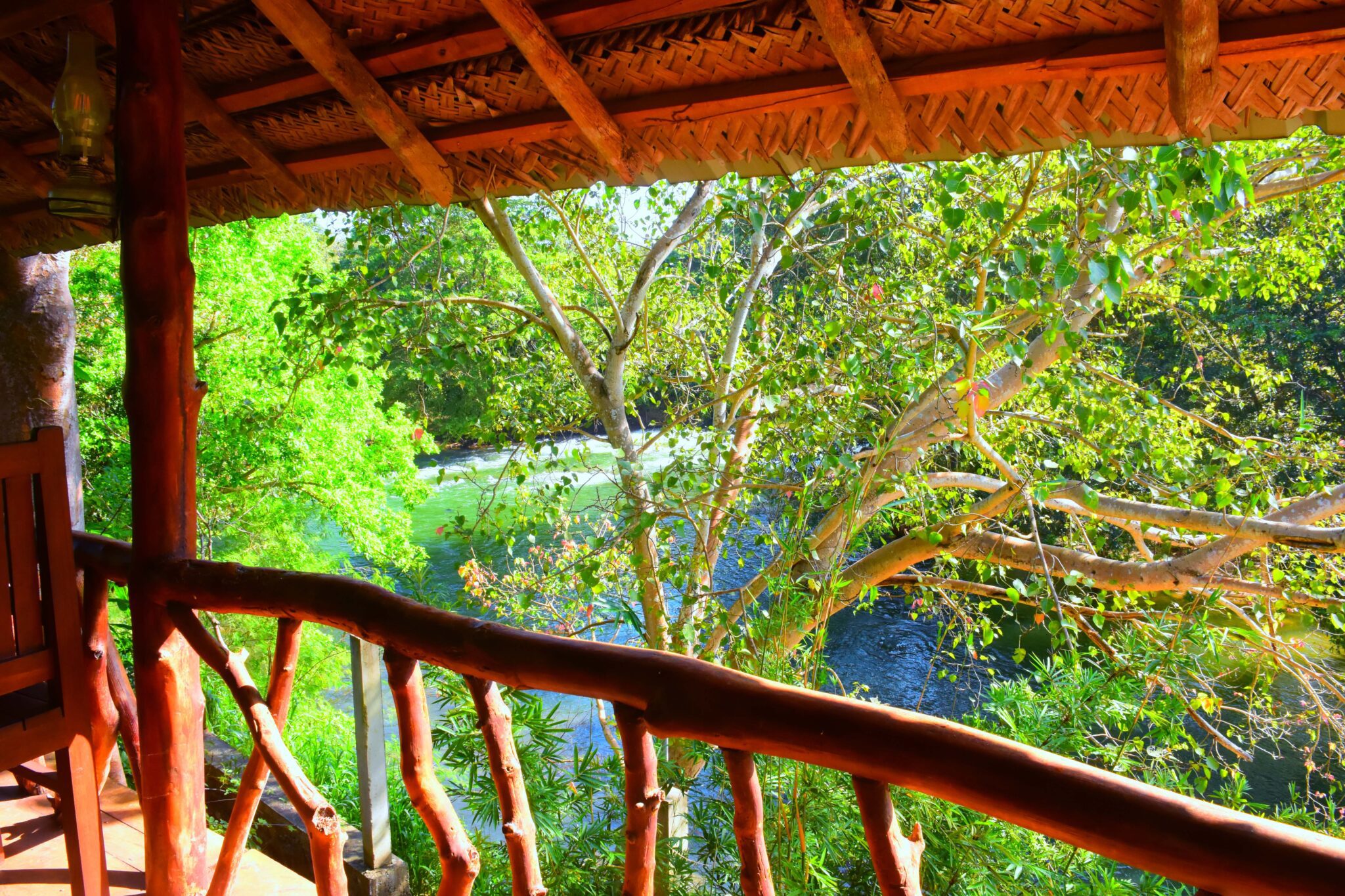 freedomecoresort